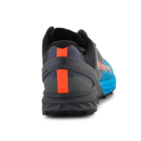 Buty do biegania Dynafit Alpine M 64064-0752 Buty do biegania Dynafit Alpine M 64064-0752