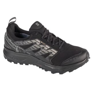 Buty do biegania Salomon Wander GTX M 471484