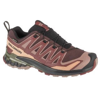 Buty do biegania Salomon XA Pro 3D v9 GTX M L47583500