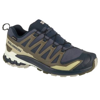 Buty do biegania Salomon XA Pro 3D v9 GTX M L47823000