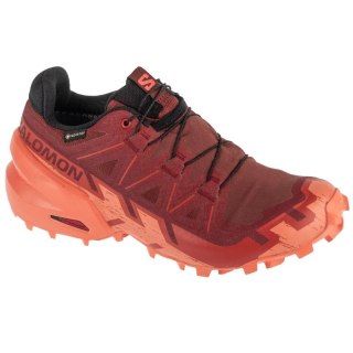Buty do biegania Salomon Speedcross 6 GTX W 475843