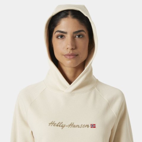 Bluza Helly Hansen Core Graphic Hoodie W 54239 034 Bluza Helly Hansen Core Graphic Hoodie W 54239 034