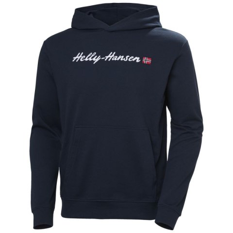 Bluza Helly Hansen Core Graphic Sweat Hoodie M 53924 596 Bluza Helly Hansen Core Graphic Sweat Hoodie M 53924 596