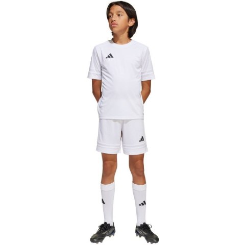 Spodenki adidas Squadra 25 Jr JJ2423 Spodenki adidas Squadra 25 Jr JJ2423