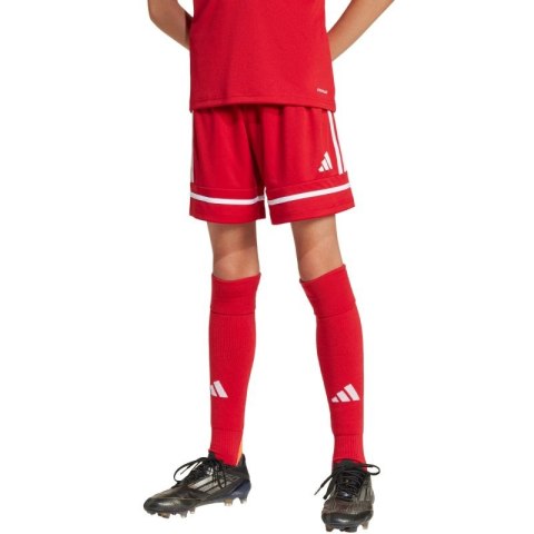 Spodenki adidas Squadra 25 Jr JN5456 Spodenki adidas Squadra 25 Jr JN5456