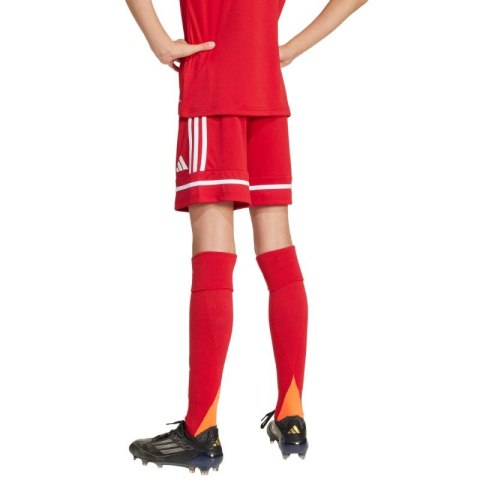 Spodenki adidas Squadra 25 Jr JN5456 Spodenki adidas Squadra 25 Jr JN5456