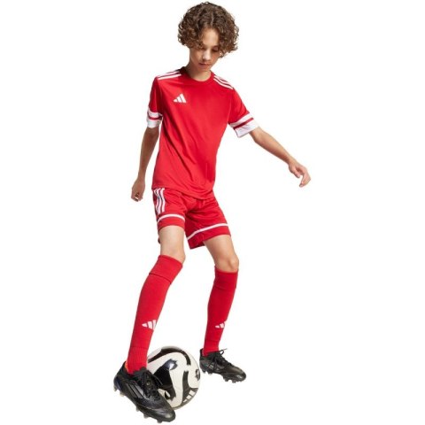Spodenki adidas Squadra 25 Jr JN5456 Spodenki adidas Squadra 25 Jr JN5456
