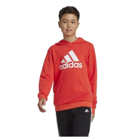 Bluza adidas Big Logo Hoodie Jr IX9531 Bluza adidas Big Logo Hoodie Jr IX9531