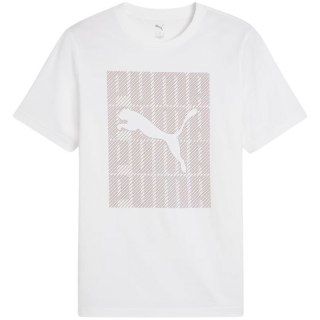 Koszulka Puma Graphics Wording Tee M 684825 02