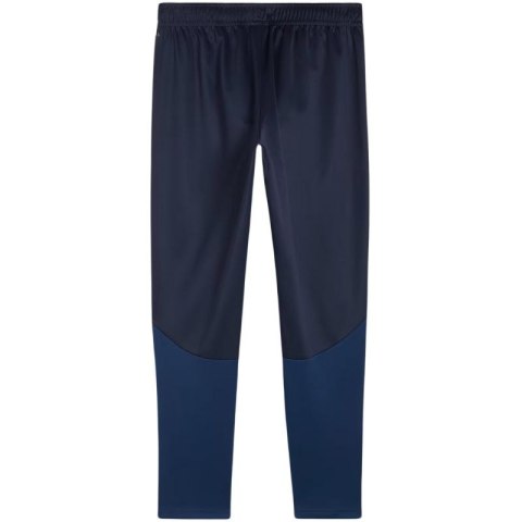 Spodnie Puma Team Goal Training M 658639 06 Spodnie Puma Team Goal Training M 658639 06