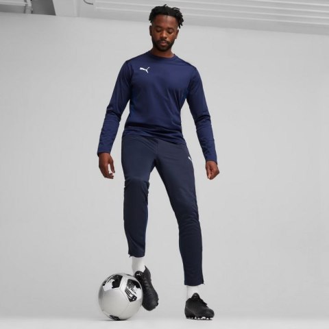 Spodnie Puma Team Goal Training M 658639 06 Spodnie Puma Team Goal Training M 658639 06