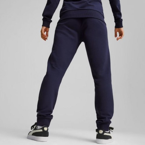 Spodnie Puma Team Goal Casuals W 658604 06 Spodnie Puma Team Goal Casuals W 658604 06
