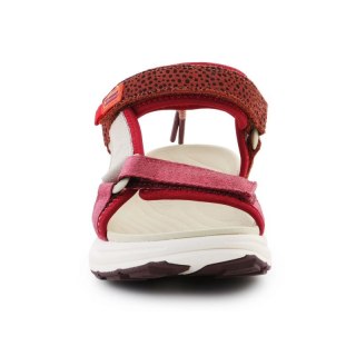 Sandały D.Franklin Sneakers Sandal Strips W DFSH406003-Burg