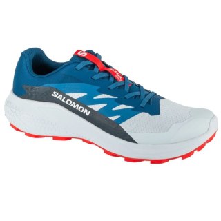 Buty do biegania Salomon Alphaglide Ballad M L47724300
