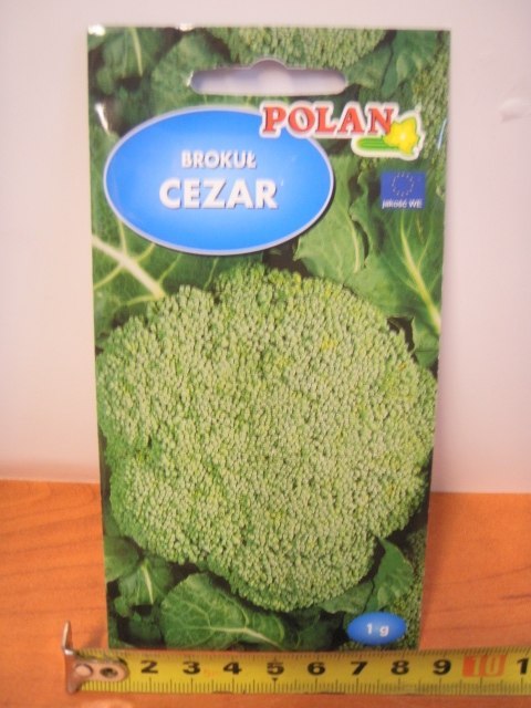 Nasiona 1g BROKUŁ CEZAR Nasiona 1g BROKUŁ CEZAR