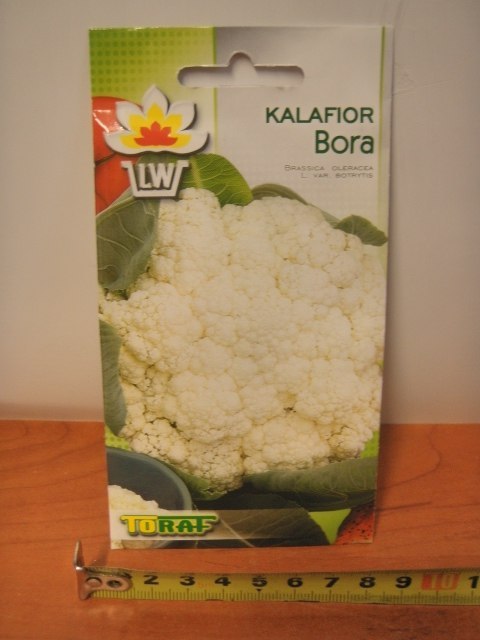 Nasiona 1g KALAFIOR BORA TF857 Nasiona 1g KALAFIOR BORA TF857