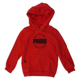 Bluza Puma DCT Hoodie Jr 849258 11