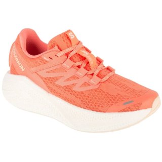 Buty do biegania Salomon Aero Glide 3 W L47810700