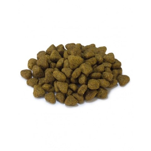 Arquivet Sucha karma dla kotów sterylizowanych z białą rybą i tuńczykiem 1,5 kg Arquivet Sucha karma dla kotów sterylizowanych z białą rybą i tuńczykiem 1,5 kg