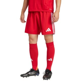 Spodenki adidas Tastigo 25 M JN7157