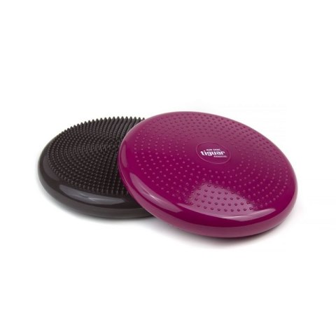Dysk stabilizujący tiguar (air disc) DR-GT0001 Dysk stabilizujący tiguar (air disc) DR-GT0001