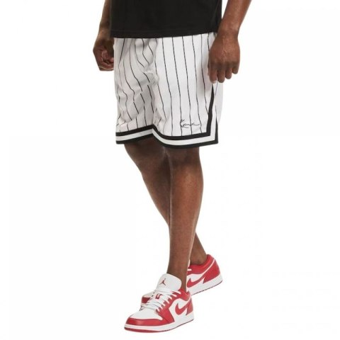 Spodenki Karl Kani Small Signature Pinstripe Mesh Short M 6014921 Spodenki Karl Kani Small Signature Pinstripe Mesh Short M 6014921