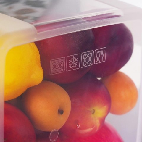 Zestaw Pojemniki na Żywność z Pokrywką Plastikowe Kuchenne VILDE 10 szt. Zestaw Pojemniki na Żywność z Pokrywką Plastikowe Kuchenne VILDE 10 szt.