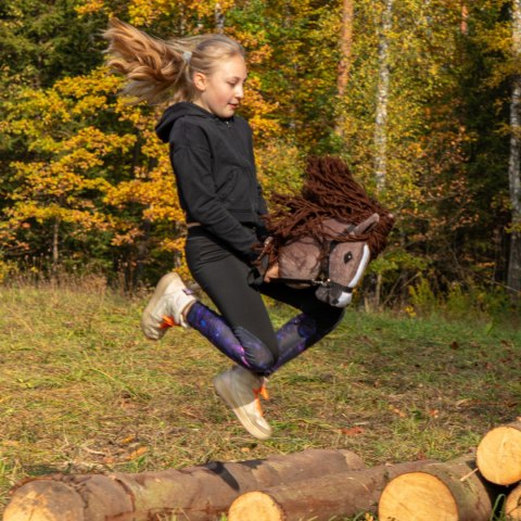 Hobby horse Skippi gniady koń kiju duży A3 kantar Hobby horse Skippi gniady koń kiju duży A3 kantar