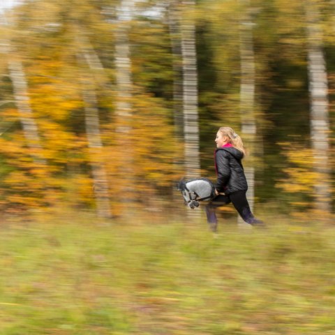 Hobby horse Skippi koń na kiju duży A3 kantar Hobby horse Skippi koń na kiju duży A3 kantar