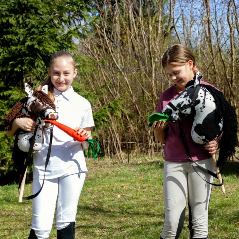 Smaczki Skippi dla Hobby Horse - pluszowe warzywa owoce kostki cukru Smaczki Skippi dla Hobby Horse - pluszowe warzywa owoce kostki cukru