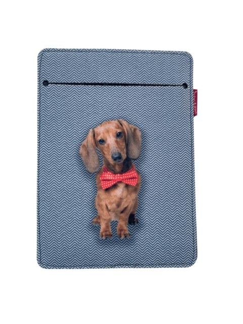 Etui na ebook - Filip