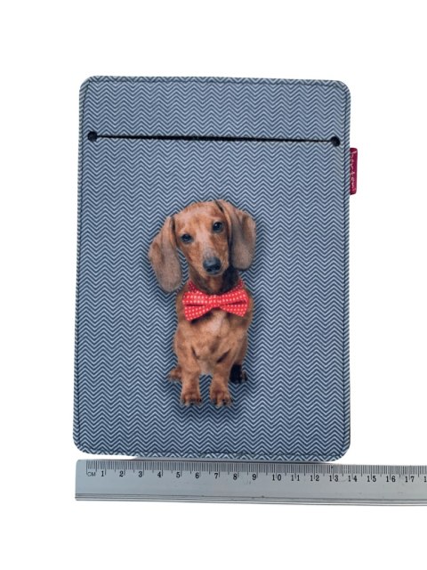 Etui na ebook - Filip