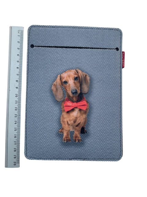 Etui na ebook - Filip