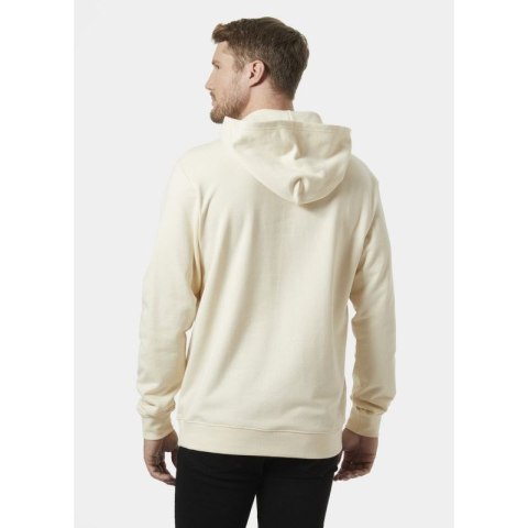 Bluza Helly Hansen Core Graphic Sweat Hoodie M 53924 034