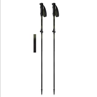 Kije trekkingowe Spokey Terra SPK-944825