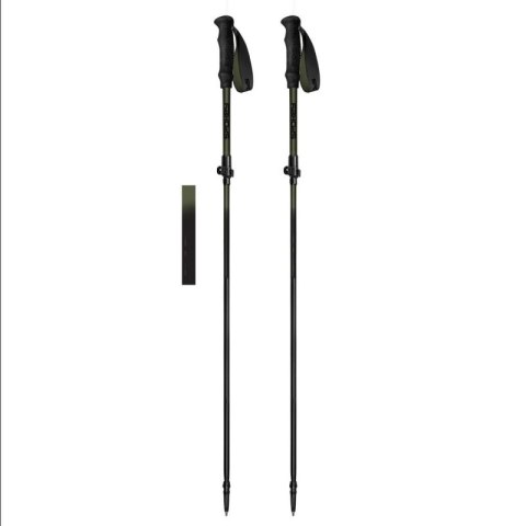 Kije trekkingowe Spokey Terra SPK-944825