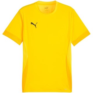 Koszulka Puma teamGoal Matchday Jersey M 705747 07