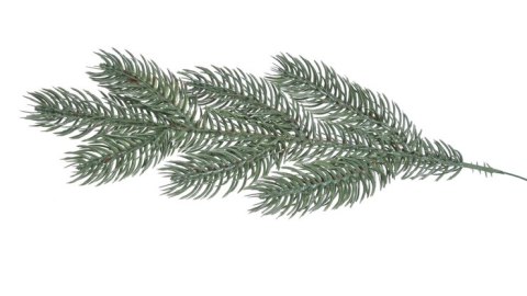 Gałązka 12szt. iglasta 32cm 97CAN12-46 Gałązka 12szt. iglasta 32cm 97CAN12-46