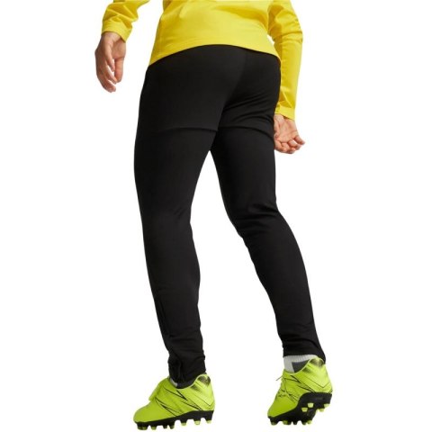 Spodnie Puma Team Goal Slim Training M 659037 03