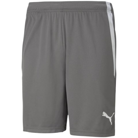 Spodenki Puma teamLIGA M 704924 13