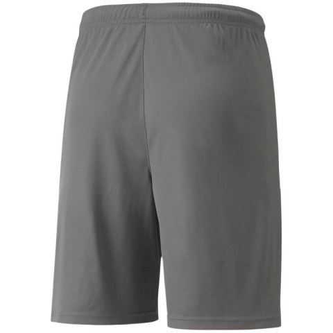 Spodenki Puma teamLIGA M 704924 13