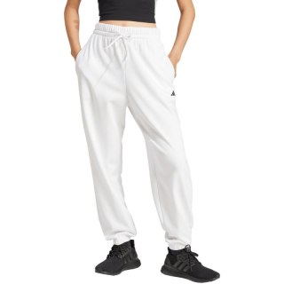 Spodnie adidas Essentials Small Logo French Terry Cuffed W JD9923