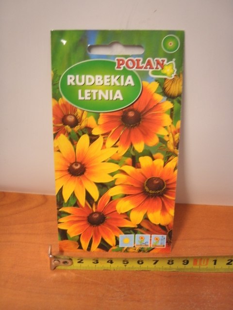Nasiona 2g RUDBEKIA LETNIA PN3988 Nasiona 2g RUDBEKIA LETNIA PN3988