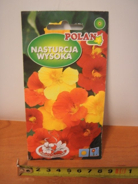 Nasiona NASTURCJA WYSOKA PN3997 Nasiona NASTURCJA WYSOKA PN3997