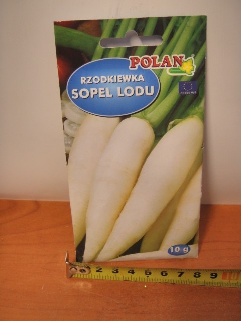 Nasiona RZODKIEWKA SOPEL LODU PN3881 Nasiona RZODKIEWKA SOPEL LODU PN3881