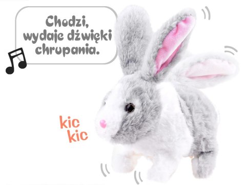 Interaktywny zwierzaczek chrupaczek kicający Królik + marchewka ZA2685 SZ Interaktywny zwierzaczek chrupaczek kicający Królik + marchewka ZA2685 SZ
