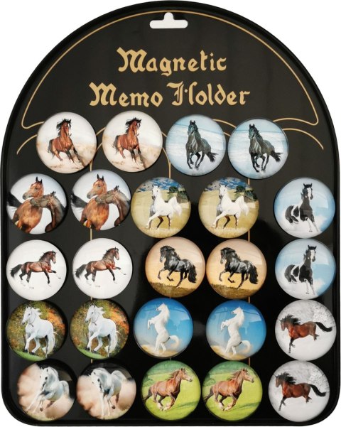 Magnes ceramiczny 24szt. KONIE Magnes ceramiczny 24szt. KONIE