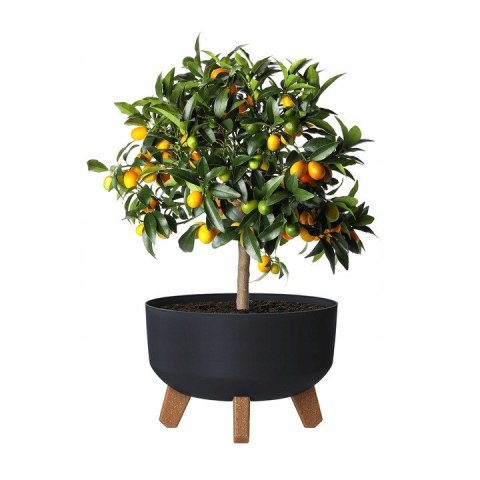Doniczka Gracia Low antracytowy | DGRL240L Doniczka Gracia Low antracytowy | DGRL240L