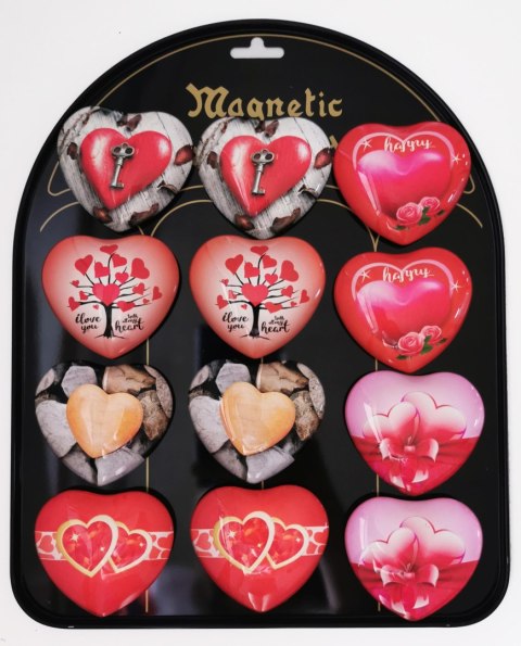 Magnesy 12szt. SERCA mix wz. | MG-9603 Magnesy 12szt. SERCA mix wz. | MG-9603