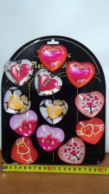 Magnesy 12szt. SERCA mix wz. | MG-9603 Magnesy 12szt. SERCA mix wz. | MG-9603